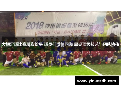 大坝足球比赛精彩纷呈 球员们激情四溢 展现顶级技艺与团队协作